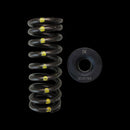 Brian Crower Honda D16Y8/D16Z6 Single Spring & Steel Retainer Kit-1