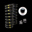 Brian Crower Honda L15B Single Spring/Titanium Retainer/Keeper Kit-1