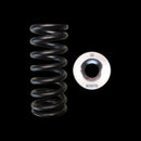 Brian Crower Honda L15 Single Spring/Titanium Retainer/Keeper Kit-1