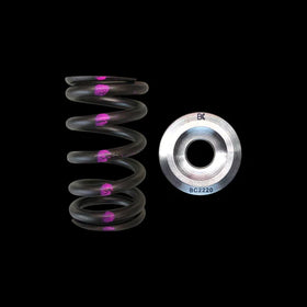 Brian Crower Nissan QR25DE Single Spring & Titanium Retainer Kit