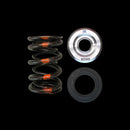 Brian Crower Subaru EJ205/EJ207/EJ257 Series Dual Spring/Titanium Retainer/Spring Seal Kit-1