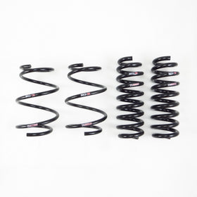 RS-R 13+ BMW 328i Sports Wagon (F31) Ti2000 Down Springs