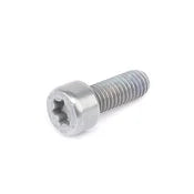 BMW Fillister Head Screw - Genuine BMW 07129905536