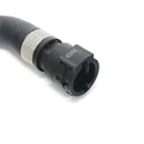BMW Radiator to Expansion Tank Hose - Genuine BMW 17128620944-3
