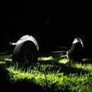 Borne Off-Road Rock Light (Kit of 4) Short Harness-3