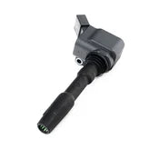 Audi Porsche VW Direct Ignition Coil - Beru ZSE137