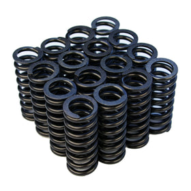 BLOX Racing Valve Springs for D-series SOHC VTEC D16Z-Y (1.6L SOHC VTEC)