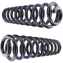 Camburg 05-24 Ford F-250/350 4wd 2.5in. Performance Coil Springs (pair) (diesel)-1