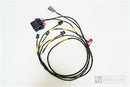 Rywire IGBT (AEM/IGN-1A) Coil Sub-Harness for 2 Rotor Engines-1