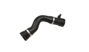 BMW Radiator Hose - Rein 17127604542