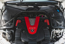 CTS TURBO MERCEDES-BENZ C400/C450/C43 AMG M276/W205 INTAKE SYSTEM-2