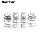 CTS Turbo B9/9.5 Audi SQ5 Lowering Springs-1