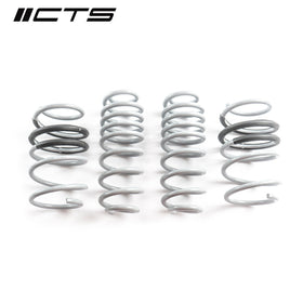 CTS Turbo B9/9.5 Audi SQ5 Lowering Springs