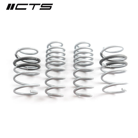 CTS Turbo B9/9.5 Audi SQ5 Lowering Springs