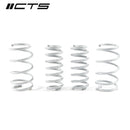 CTS TURBO MK8 GOLF R LOWERING SPRING SET-1