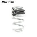 CTS TURBO B8/B8.5 AUDI A4/S4 LOWERING SPRING SET-2