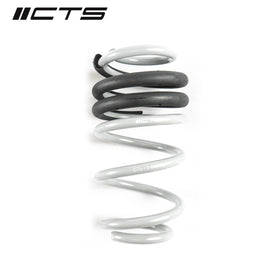 CTS TURBO B8/B8.5 AUDI A4/S4 LOWERING SPRING SET - 0