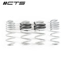 CTS TURBO B8/B8.5 AUDI A4/S4 LOWERING SPRING SET-1