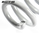 CTS Turbo Audi B9/9.5 A4/S4/A5/S5/Allroad Lowering Springs-3