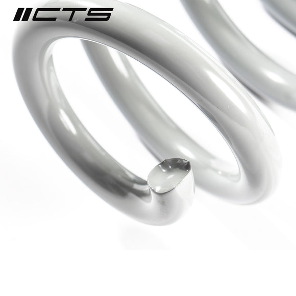 CTS Turbo Audi B9/9.5 A4/S4/A5/S5/Allroad Lowering Springs