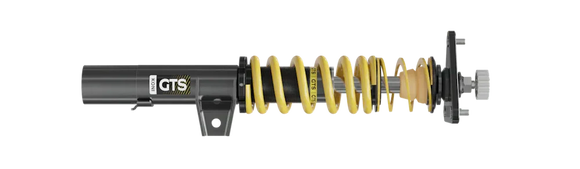 Koni GTS Coilovers 16-24 Honda Civic 50.5mm Front Strut Only or 54mm w/Incl. Spacer (Excl. MagRide)