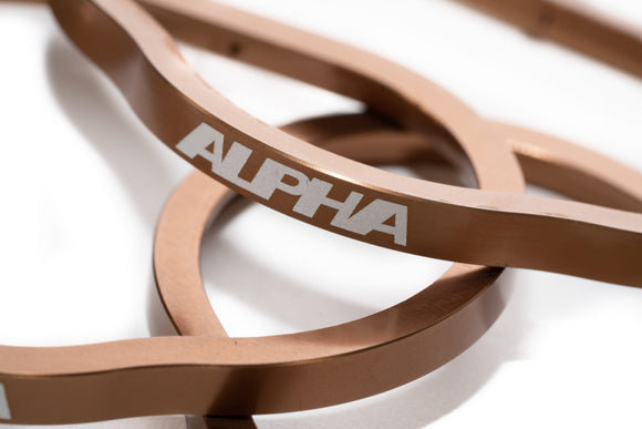 AMS Performance V10 Intake Manifold Sealing Ring Kit