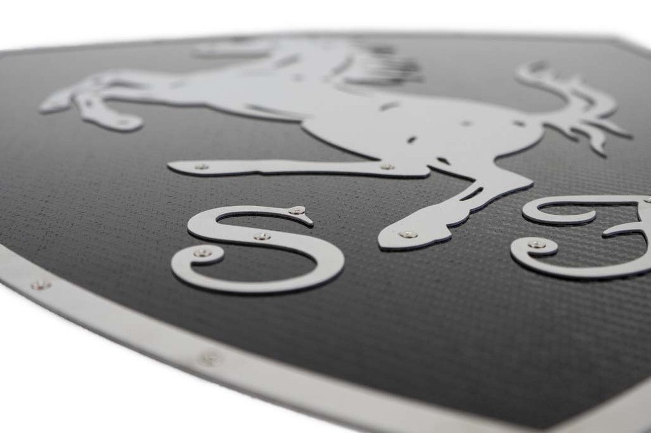 Fabspeed Carbon Fiber Wall Art - Ferrari - 0