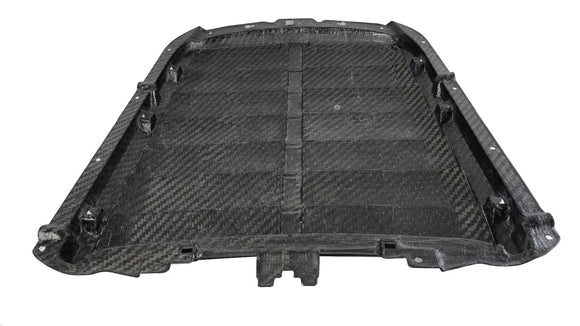 CARBON FIBER Ford Mustang Shelby GT-500 Hood Vent 2020-Current
