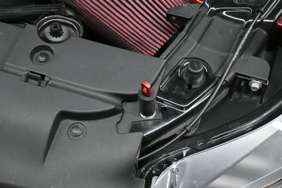 Anderson Composites 15-17 Ford Mustang (Excl. GT350/GT350R) Double Sided Carbon Fiber Cowl Hood