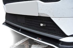 Zunsport Ford Fiesta ST LINE MK8 - Lower Grille - Black Finish