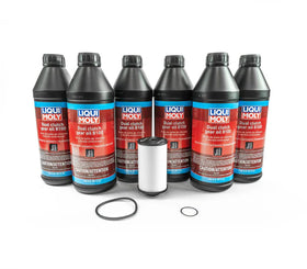 DSG Transmission Filter Kit With Liqui-Moly Fluid DQ250