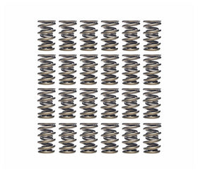 Ferrea VW VR6 3.2L Dual Valve Spring - Set of 24