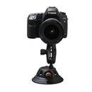 SeaSucker Camera Mount-1