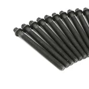 Cylinder Head Bolt Set (14) - BMW M54 2.5L & 3.0L