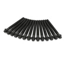 Cylinder Head Bolt Set (14) - BMW M54 2.5L & 3.0L-3