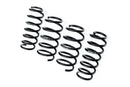 Evolve I01 i3 / i3S Lowering Springs-3