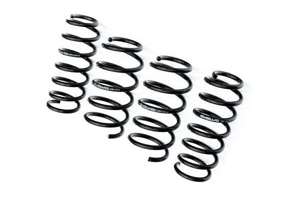 Evolve I01 i3 / i3S Lowering Springs