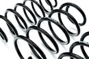 Evolve I01 i3 / i3S Lowering Springs-4