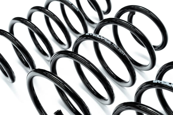 Evolve I01 i3 / i3S Lowering Springs