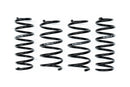 Evolve I01 i3 / i3S Lowering Springs-1