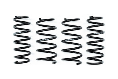 Evolve I01 i3 / i3S Lowering Springs