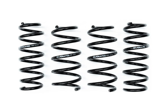 Evolve I01 i3 / i3S Lowering Springs