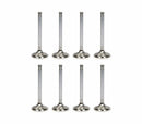 Ferrea Audi/VW BTW 29mm 5.97mm 102mm 24 Deg Flo +1mm Trpl Grv Super Alloy Exhaust Valve - Set of 8-1