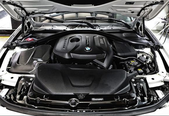 F30 320i / F30 330i  LCI (B48) carbon fiber airbox