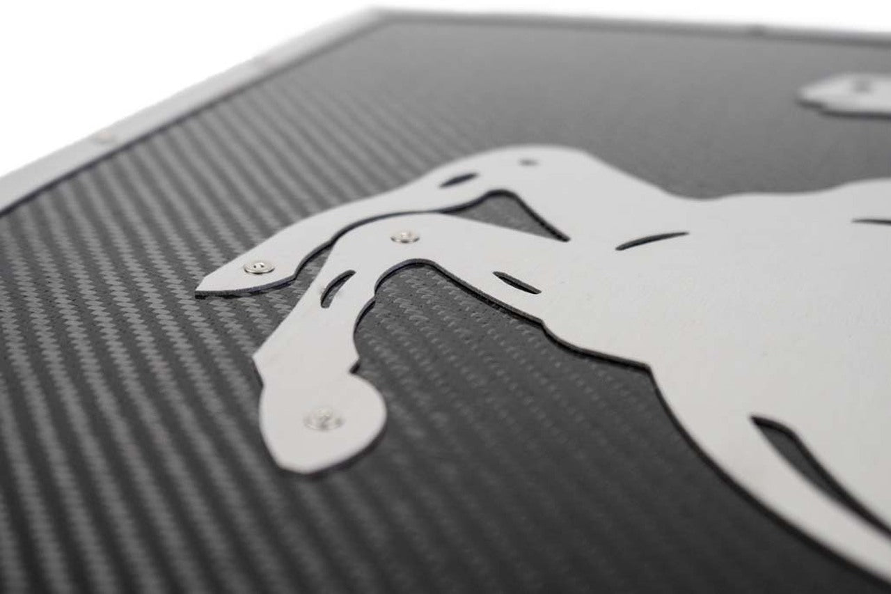 Fabspeed Carbon Fiber Wall Art - Ferrari
