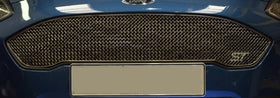 Zunsport Ford Fiesta ST MK8 - Upper Grille - Silver Finish