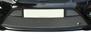 Zunsport Ford Focus ST 08MY - Lower Grille - Silver finish-1