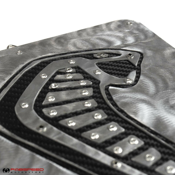 Fabspeed Carbon Fiber Wall Art - Shelby GT350