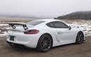 Fabspeed Porsche 981 Cayman GT4 Single-Wall Tips-4