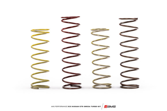 AMS PERFORMANCE OMEGA 9 R35 GTR TURBO KIT